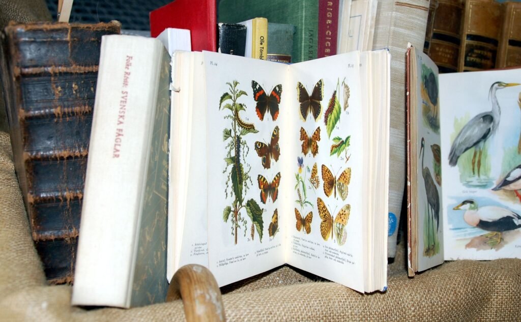 alt="open book with images of butterflies like a guide"